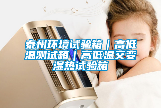 泰州环境试验箱｜高低温测试箱｜高低温交变湿热试验箱