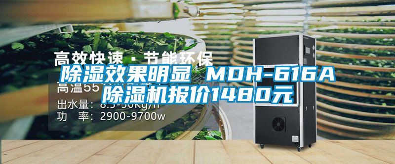 除湿效果明显 MDH-616A除湿机报价1480元