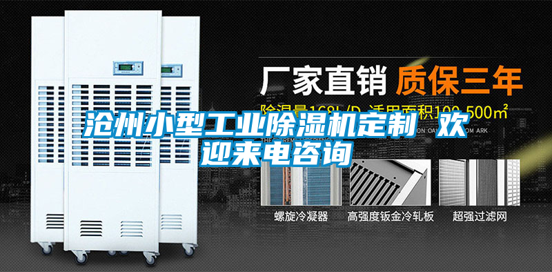 沧州小型工业除湿机定制 欢迎来电咨询