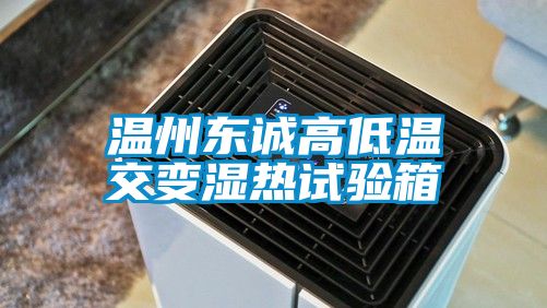温州东诚高低温交变湿热试验箱