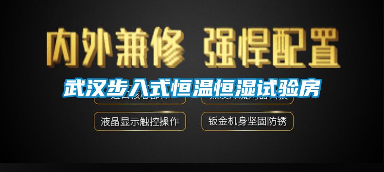 武汉步入式恒温恒湿试验房