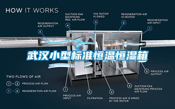 武汉小型标准恒温恒湿箱