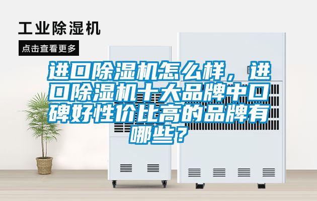 进口除湿机怎么样，进口除湿机十大品牌中口碑好性价比高的品牌有哪些？