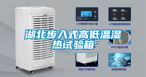 湖北步入式高低温湿热试验箱