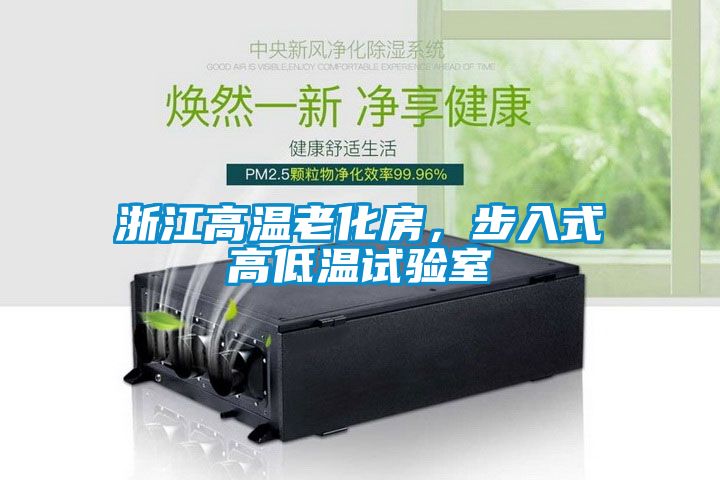 浙江高温老化房，步入式高低温试验室