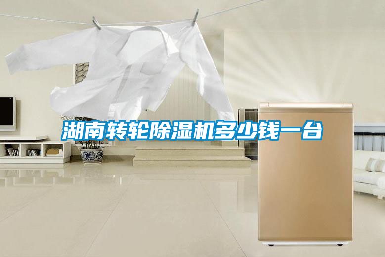 湖南转轮除湿机多少钱一台