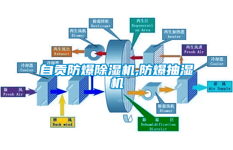 自贡防爆除湿机,防爆抽湿机