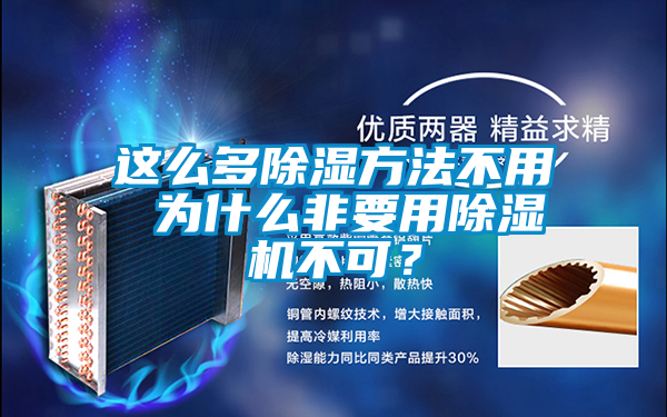 这么多除湿方法不用 为什么非要用除湿机不可？