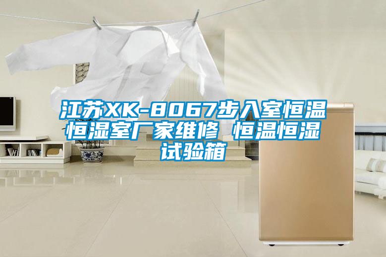 江苏XK-8067步入室恒温恒湿室厂家维修 恒温恒湿试验箱