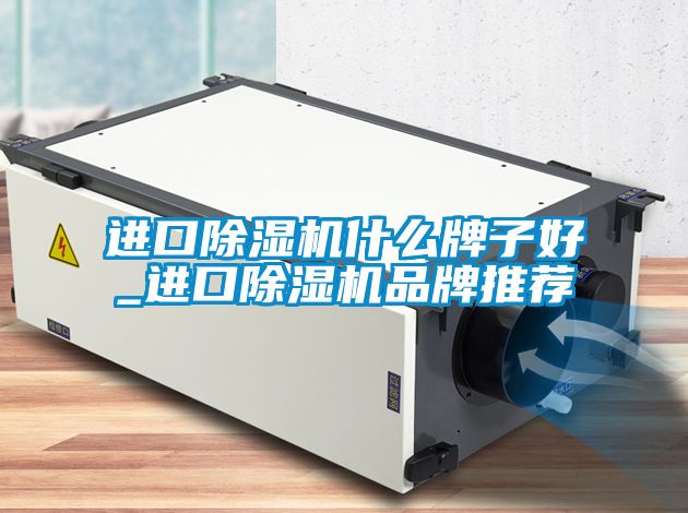 进口除湿机什么牌子好_进口除湿机品牌推荐