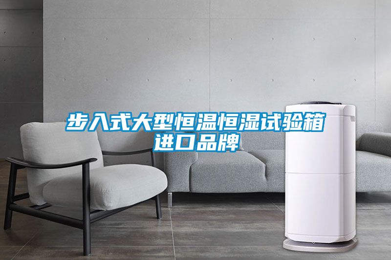 步入式大型恒温恒湿试验箱进口品牌