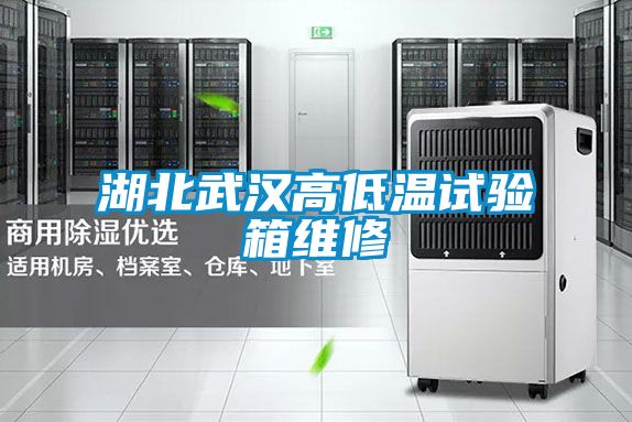 湖北武汉高低温试验箱维修
