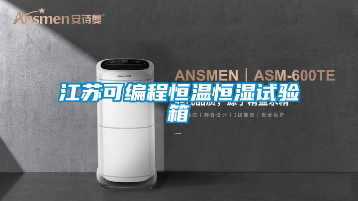 江苏可编程恒温恒湿试验箱