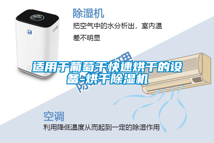 适用于葡萄干快速烘干的设备-烘干除湿机