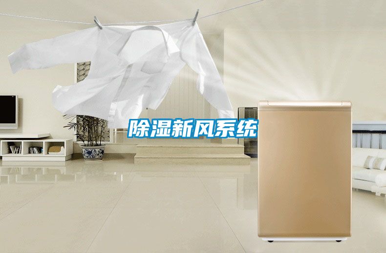 除湿新风系统