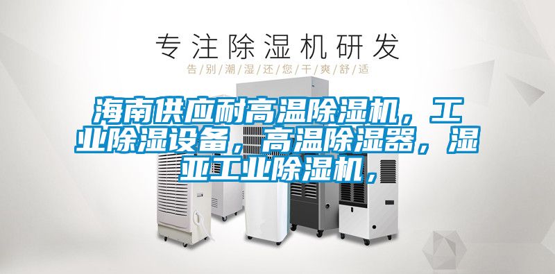 海南供应耐高温除湿机，工业除湿设备，高温除湿器，湿亚工业除湿机，
