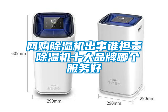 网购除湿机出事谁担责 除湿机十大品牌哪个服务好
