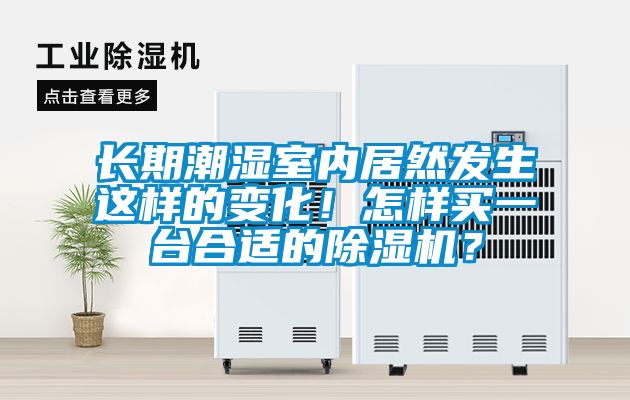长期潮湿室内居然发生这样的变化！怎样买一台合适的除湿机？