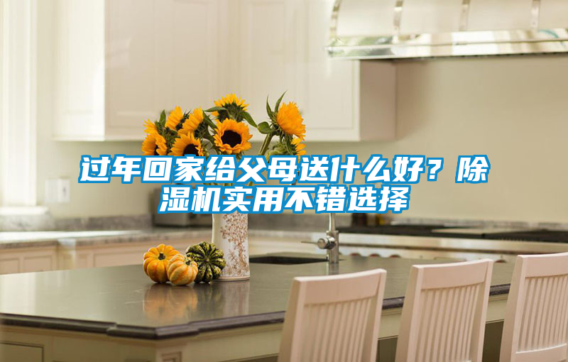 过年回家给父母送什么好？除湿机实用不错选择
