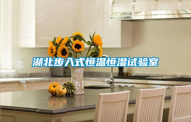 湖北步入式恒温恒湿试验室