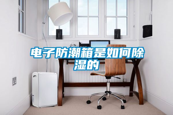 电子防潮箱是如何除湿的