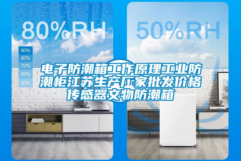 电子防潮箱工作原理工业防潮柜江苏生产厂家批发价格传感器文物防潮箱