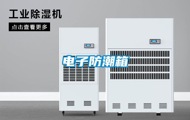 电子防潮箱