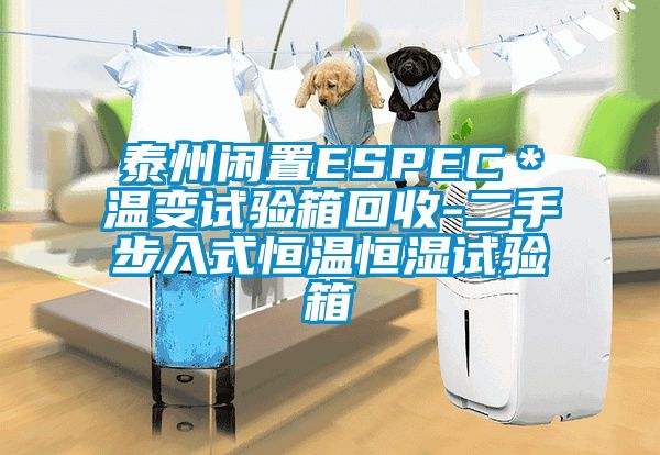 泰州闲置ESPEC＊温变试验箱回收-二手步入式恒温恒湿试验箱
