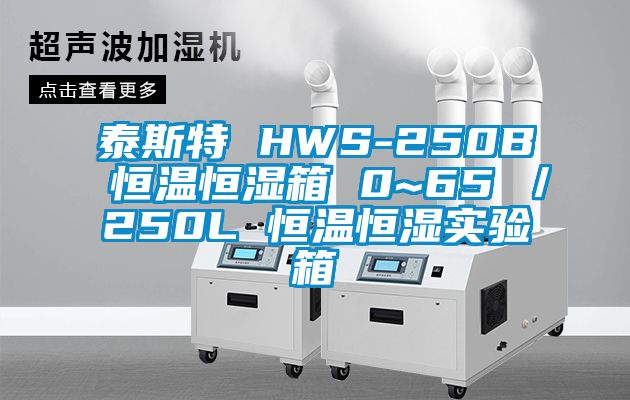 泰斯特 HWS-250B 恒温恒湿箱 0~65℃／250L 恒温恒湿实验箱