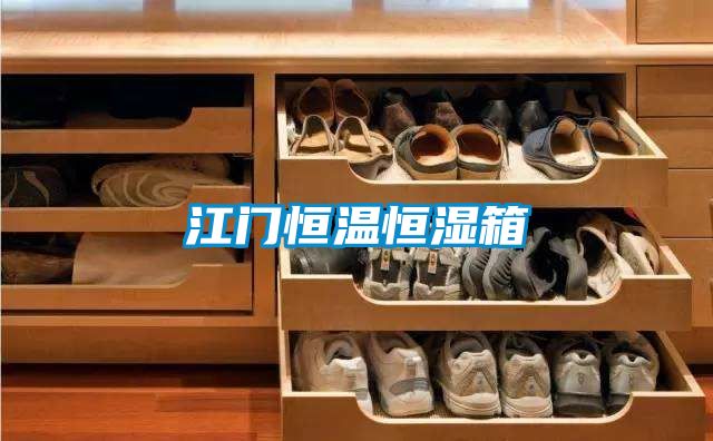 江门恒温恒湿箱