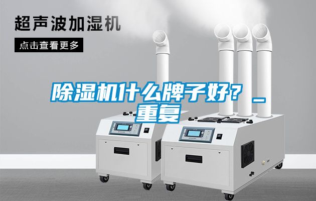除湿机什么牌子好？_重复
