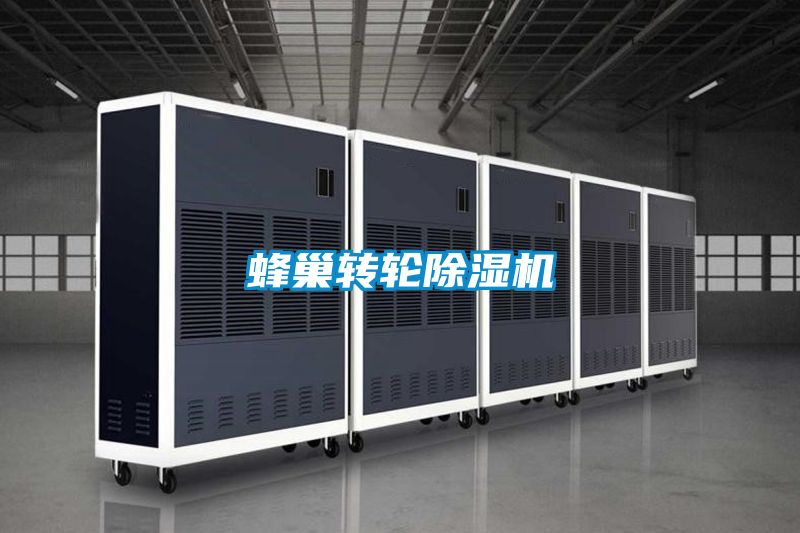蜂巢转轮除湿机