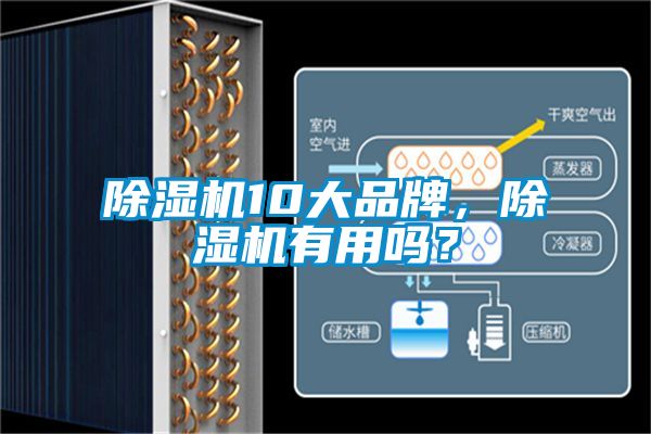 除湿机10大品牌，除湿机有用吗？