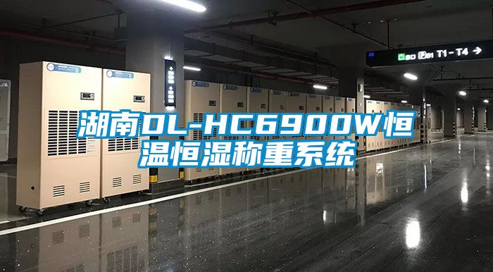 湖南DL-HC6900W恒温恒湿称重系统