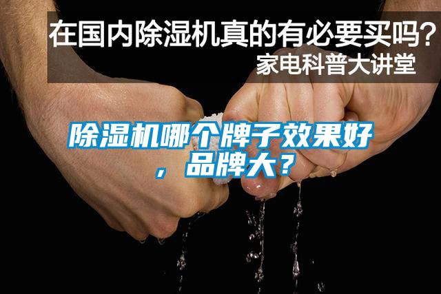 除湿机哪个牌子效果好，品牌大？