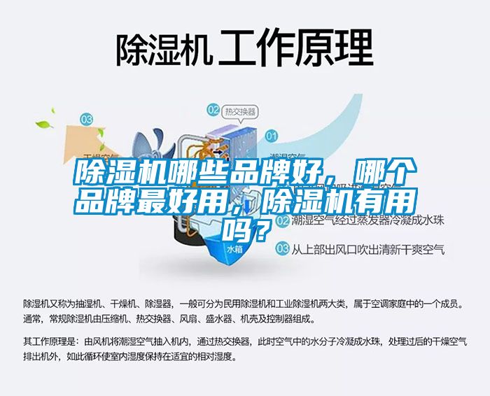 除湿机哪些品牌好，哪个品牌最好用，除湿机有用吗？