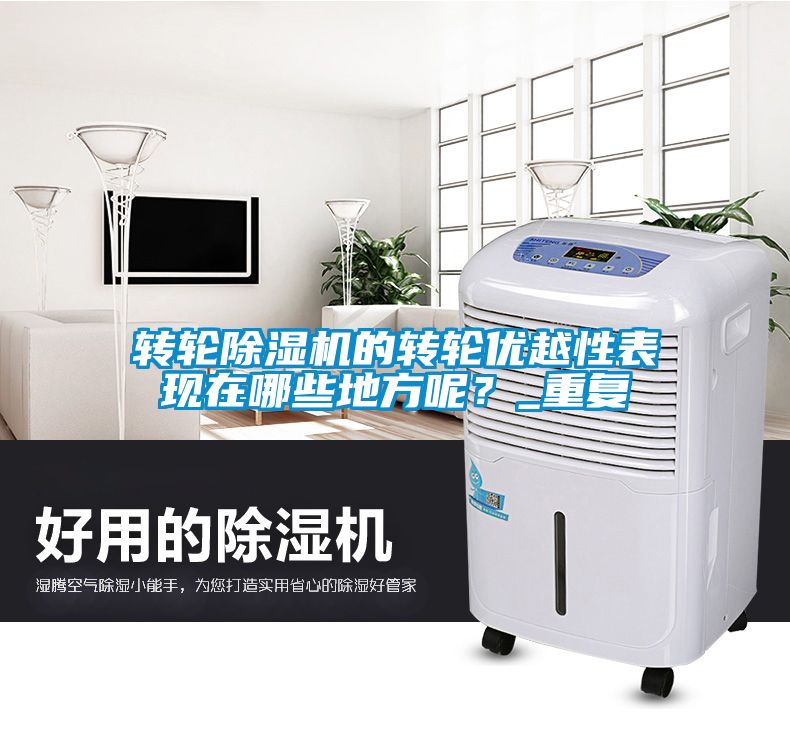 转轮除湿机的转轮优越性表现在哪些地方呢？_重复