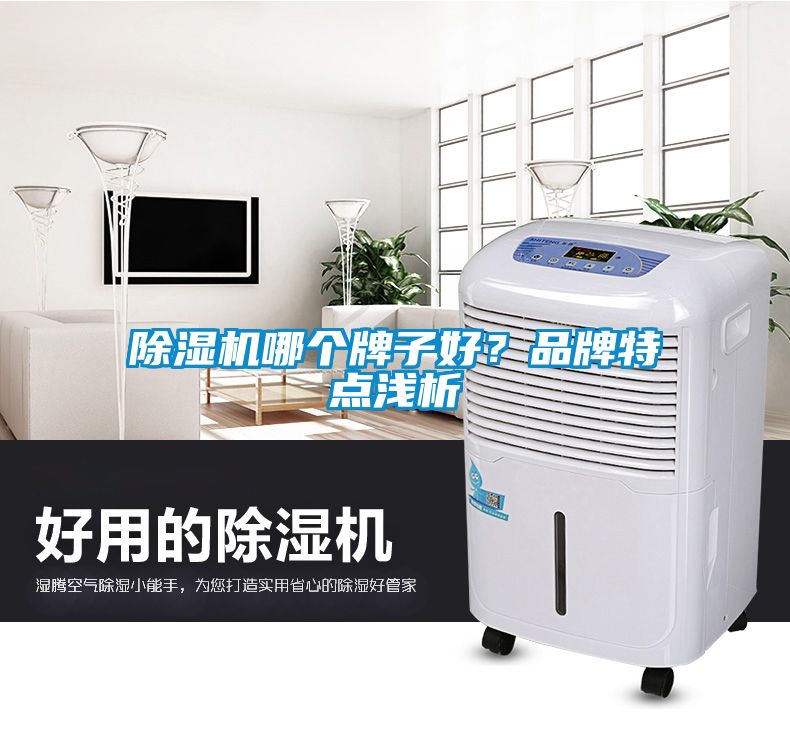 除湿机哪个牌子好？品牌特点浅析