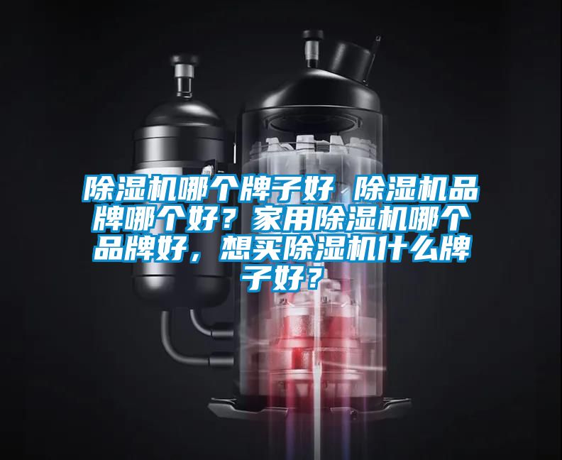 除湿机哪个牌子好 除湿机品牌哪个好？家用除湿机哪个品牌好，想买除湿机什么牌子好？