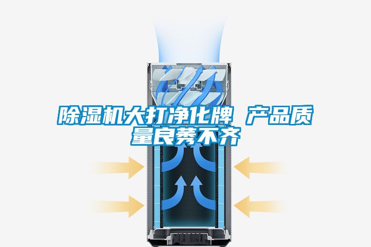 除湿机大打净化牌 产品质量良莠不齐