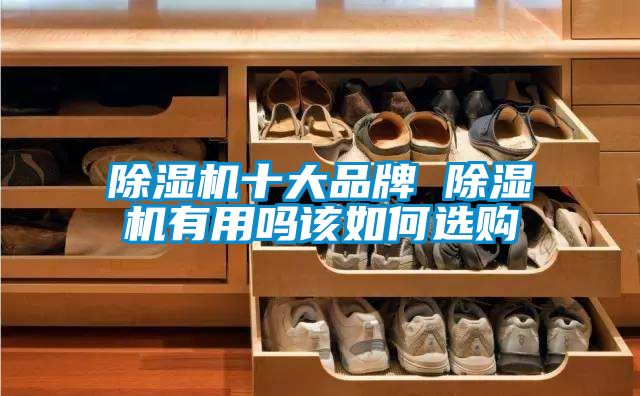 除湿机十大品牌 除湿机有用吗该如何选购