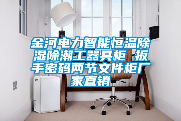 金河电力智能恒温除湿除潮工器具柜 扳手密码两节文件柜厂家直销