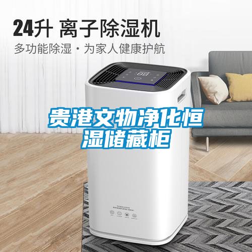 贵港文物净化恒湿储藏柜
