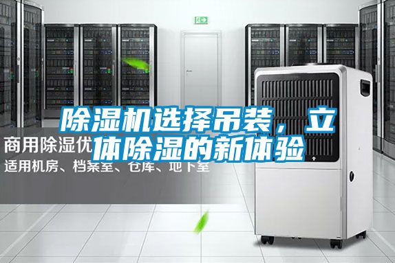 除湿机选择吊装，立体除湿的新体验