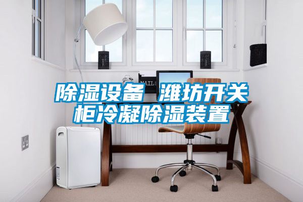 除湿设备 潍坊开关柜冷凝除湿装置