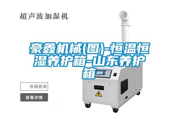 豪鑫机械(图)-恒温恒湿养护箱-山东养护箱