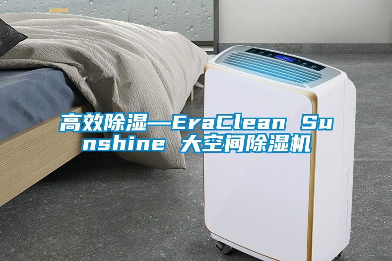 高效除湿—EraClean Sunshine 大空间除湿机