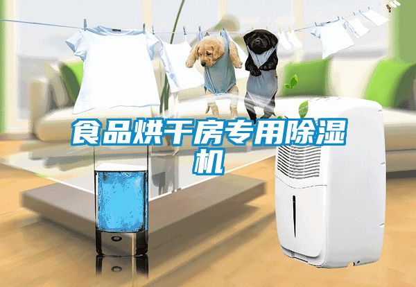 食品烘干房专用除湿机