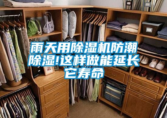 雨天用除湿机防潮除湿!这样做能延长它寿命
