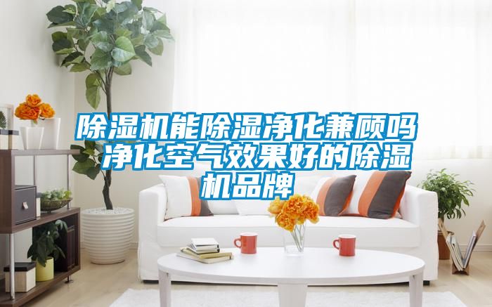 除湿机能除湿净化兼顾吗 净化空气效果好的除湿机品牌